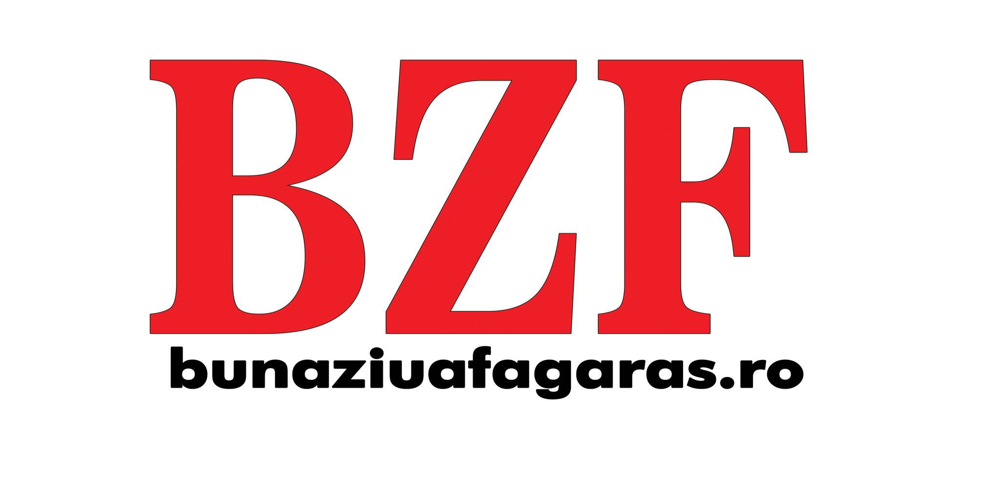 Logo Bunaziuafagaras
